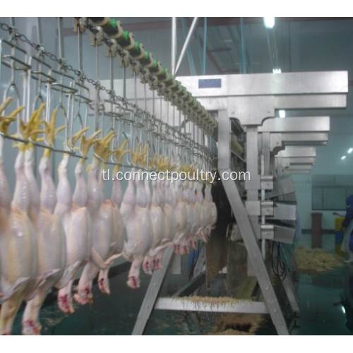 Chicken Automatic Plucking Machine